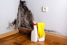  Pleasanton, TX Mold Inspection Pros